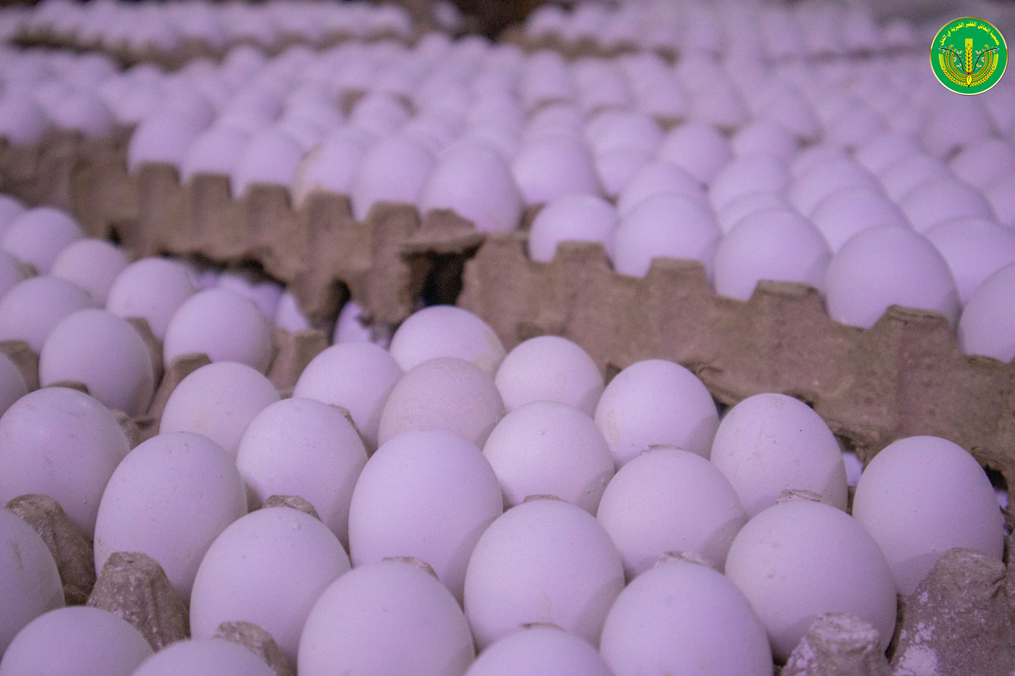 💚الانتهاء من توزيع المساعدات المالية والعينية لشهر 7 للمدرجين والأيتام في الجمعية